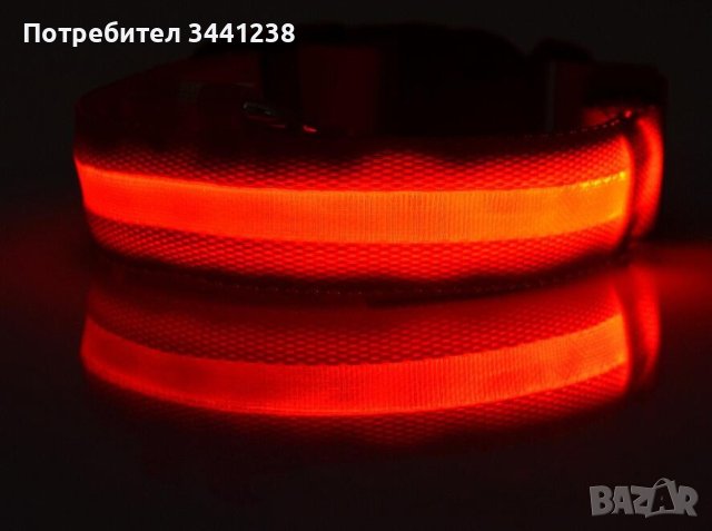 Светещ LED нашийник за куче, снимка 7 - За кучета - 40790573