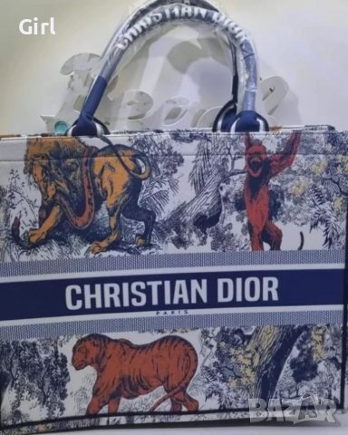 Dior чанта и чехли от 36 до 41 размер , снимка 14 - Чанти - 37123418
