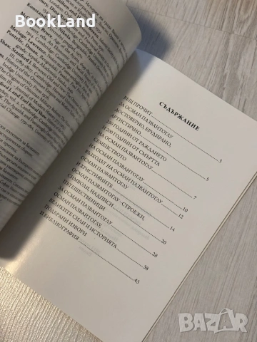 Османската империя, Видин и Осман Пазвантоглу | Невен Илиев , снимка 7 - Други - 53566309