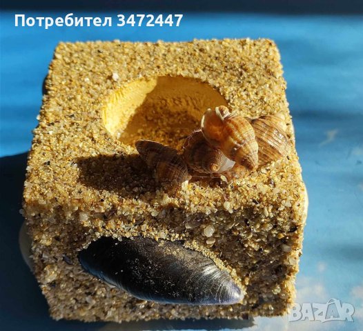 Свещник ръчно изработен с морка декорация, снимка 5 - Декорация за дома - 42989176