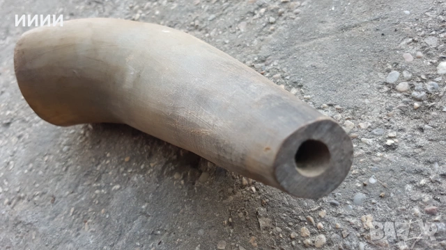 Биволски рог