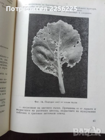 Ръководство по растителна защита за зеленчукопроизводителя, снимка 3 - Специализирана литература - 50611780