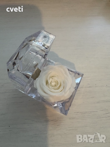 Вечна роза в кристална кутия , снимка 13 - Градински цветя и растения - 48969850