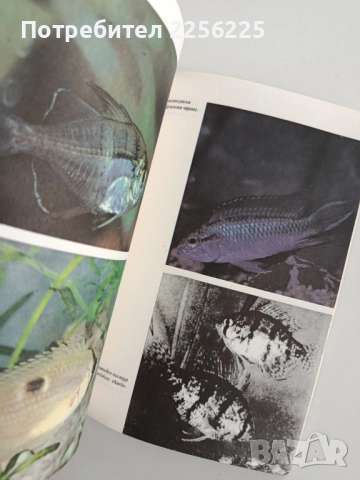 Акваристика за всеки, снимка 9 - Специализирана литература - 52467363