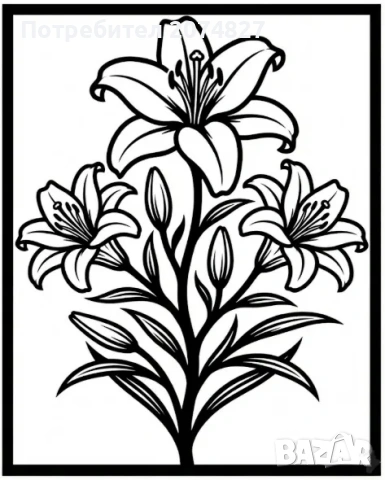 2Д Картини за Стена, снимка 7 - Картини - 53309741