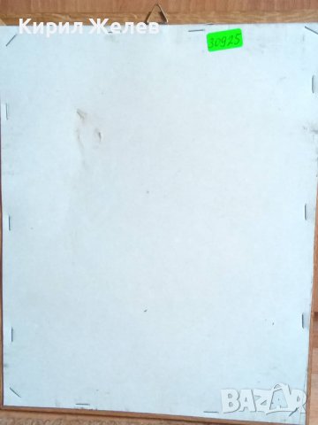 СТАР ГОБЛЕН СЕЛСКА КЪЩА ГЕРМАНИЯ ПАСТОРАЛЕН ПРОЛЕТЕН СЕЛСКИ ПЕЙЗАЖ в ДЪРВЕНА РАМКА 30925 , снимка 7 - Гоблени - 37791358