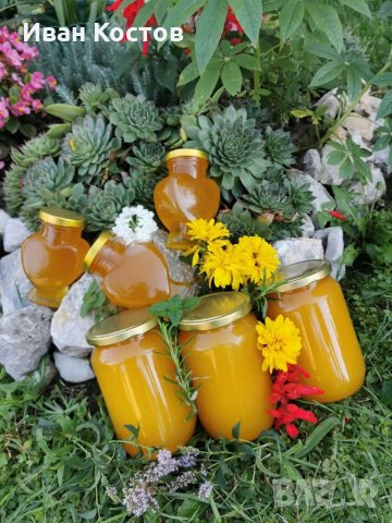 Пчелен мед 5лв/кг на тенекия, снимка 1