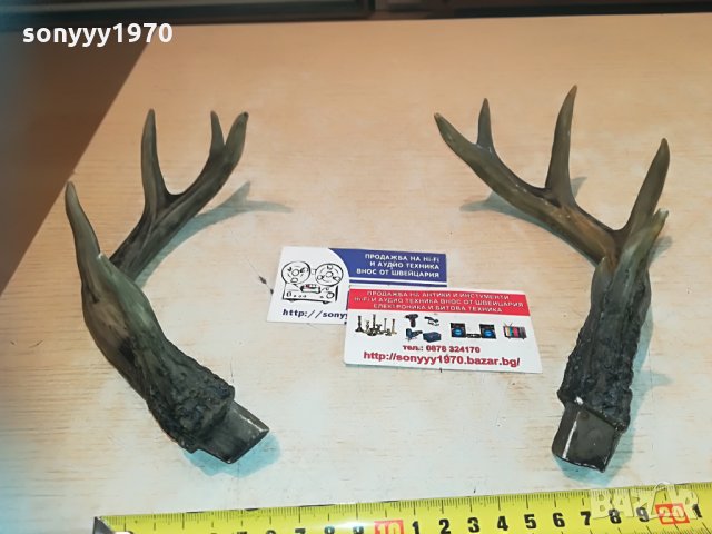 рога комплект 2бр 2005212045, снимка 8 - Антикварни и старинни предмети - 32947574