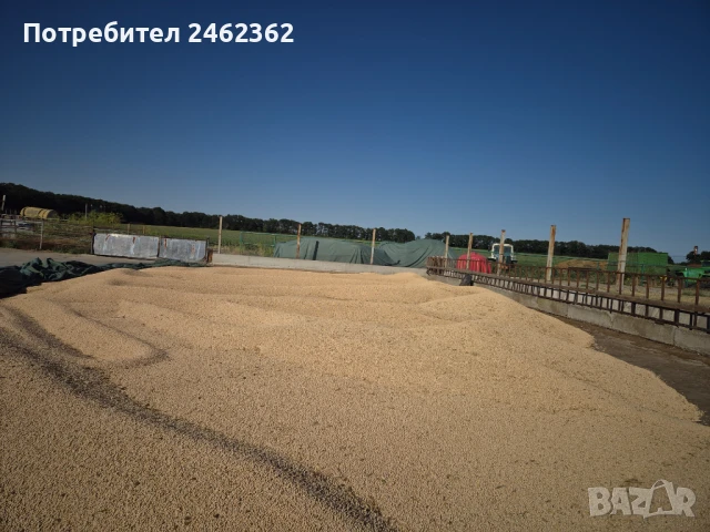 ПРОЛЕТЕН ГРАХ ТИП, снимка 2 - За селскостопански - 50879067