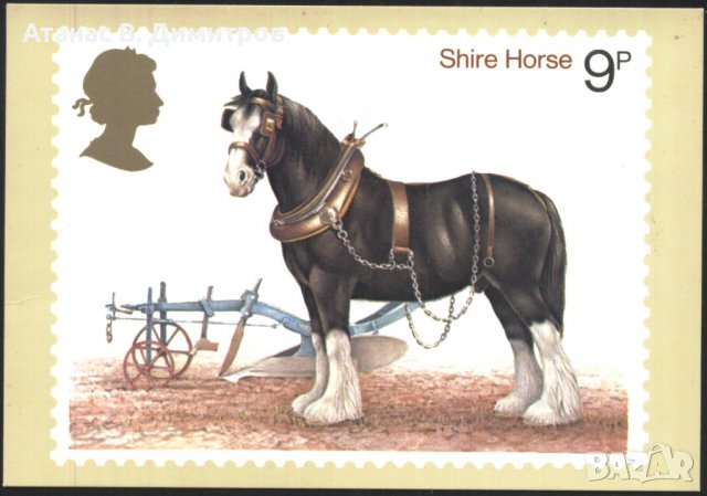 Пощенска картичка Марка Кон 1978 от Великобритания, снимка 1 - Филателия - 39189038