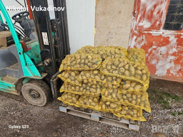 Картофи Сорая за консумация , снимка 5 - Домашни продукти - 52511378