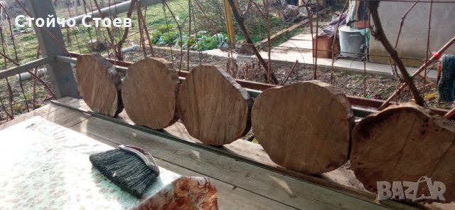 Орех труп и шайби от ореха, снимка 2 - Други - 35444412