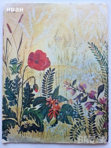 Водни кончета-гатанки - Богомил Евтимов - 1980г., снимка 5 - Детски книжки - 43788484