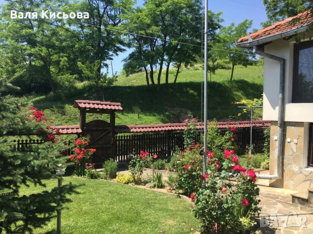 Почивка, нощувка в Елена, Еленския балкан в Дядовата къща , снимка 13 - Вили - 7767964