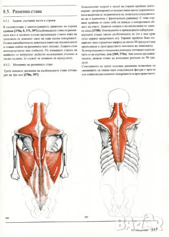 Човешкото тяло Учебник по пластична анатомия Годфрид Бамес , снимка 4 - Енциклопедии, справочници - 28089549