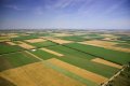 фирма изкупува Земеделска Земя и Идеални части в  Столична Община , снимка 1 - Парцели - 41552840