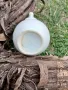Порцеланово бърдуче , снимка 5