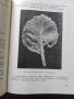 Ръководство по растителна защита за зеленчукопроизводителя, снимка 3