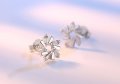 Сребърни Обеци Ледено цвете - 925 печат сребро BA230, снимка 3