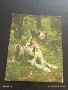 Старо календарче серия ЖИВОТНИ КУЧЕТА 88г. Рига Латвия за КОЛЕКЦИЯ 11191, снимка 1