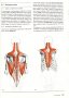 Човешкото тяло Учебник по пластична анатомия Годфрид Бамес , снимка 4