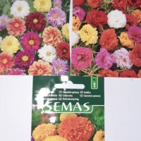 Качествени семена за посев , снимка 5 - Градински цветя и растения - 28373704