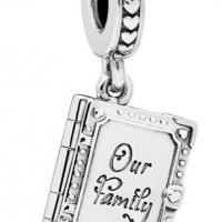 Висящ елемент книжка"My family-Our family"/нов, снимка 1 - Колиета, медальони, синджири - 26460217