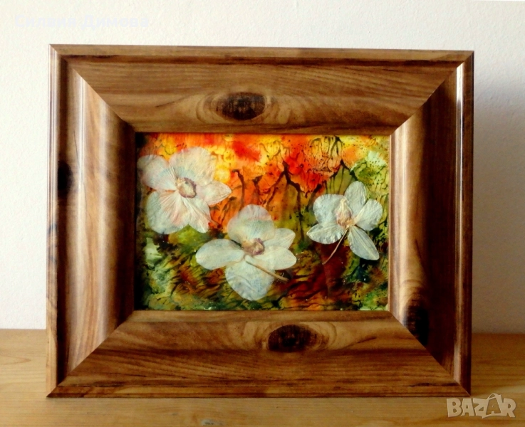 Орхидеи за подарък, снимка 1