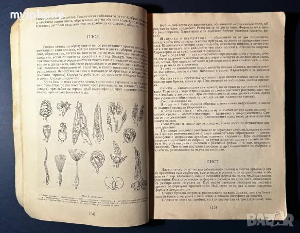 Стара Книга Разпознаване и Събиране на Билки / Борис Китанов, снимка 3 - Специализирана литература - 49528287
