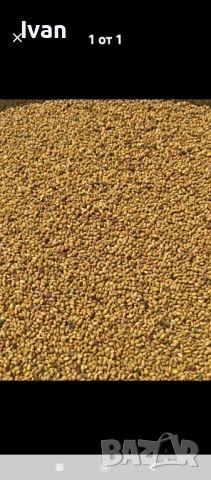 Продавам люцернено семе 