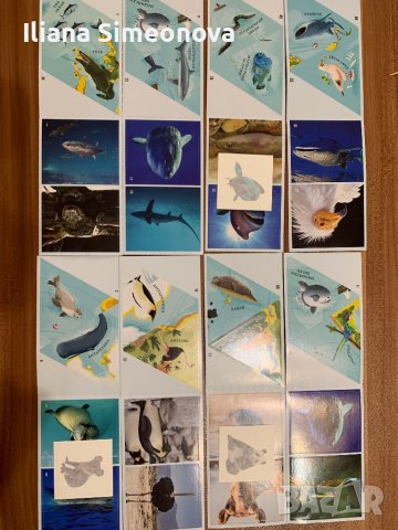 Игри на Кауфланд и Била, снимка 3 - Пъзели - 36689530