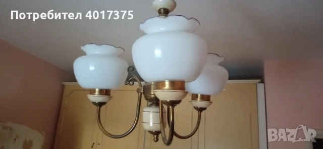 ПОЛИЛЕЙ -класика