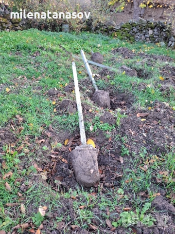 Бетонни колове за лозе или ограда .само на лично предаване цена на договаряне.