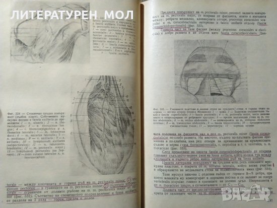 Кратък курс по оперативна хирургия: С топографска анатомия 1950 г., снимка 5 - Специализирана литература - 27634073