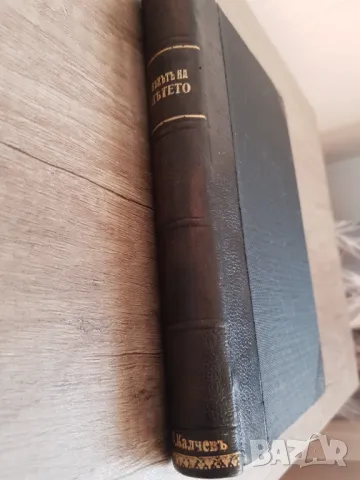 Книга" Векът на детето "от Елен Кей изд.1907 година, снимка 2 - Антикварни и старинни предмети - 48732664