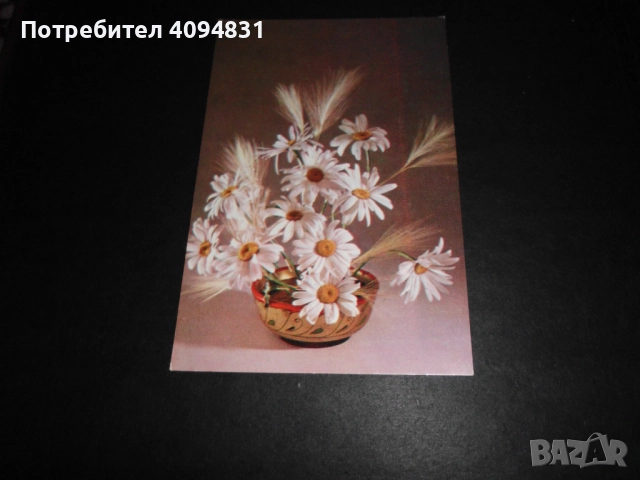 Стари албуми 2бр. с Пощенски картички / Цветя, снимка 2 - Колекции - 52099682