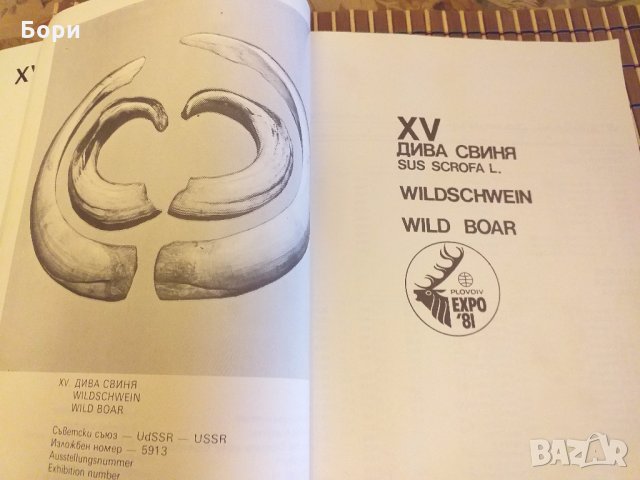 Каталог на ловните трофеи от Световното ловно изложение "Пловдив Експо 81". Част 2, снимка 5 - Енциклопедии, справочници - 27844509