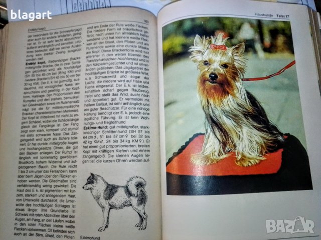 "Енциклопедия на кучето"-Германия, снимка 7 - Специализирана литература - 33458448