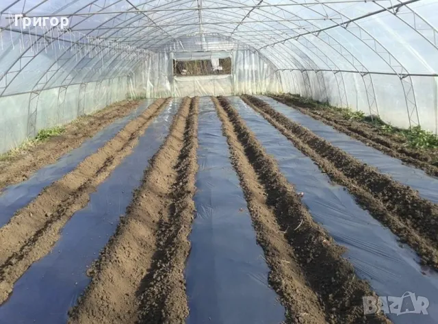 Мулч-Висококачествено найлоново фолио за мулчиране, снимка 4 - Други - 48902904