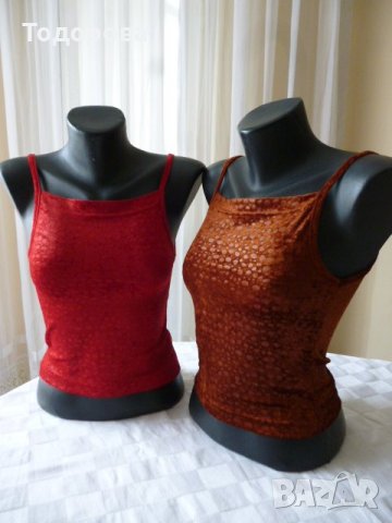 Потници по 2лв.