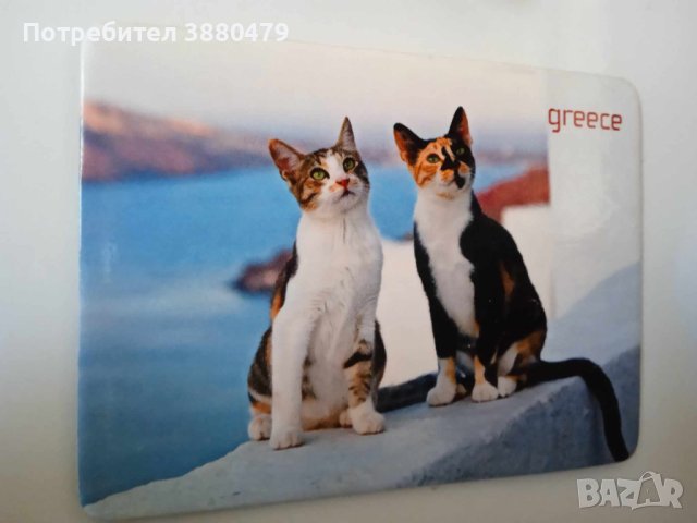 магнит от Гърция с котенца, снимка 2 - Колекции - 43541843