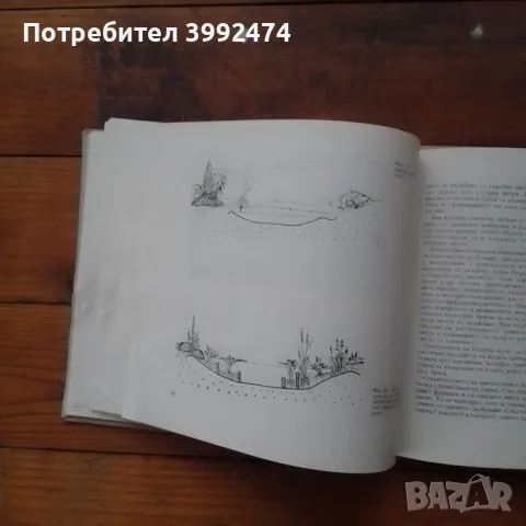 Скални цветни кътове и алпинеуми,1969, снимка 5 - Антикварни и старинни предмети - 49138765
