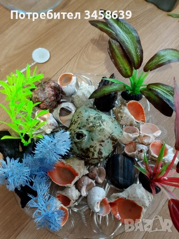 Дъно за аквариум , снимка 5 - Оборудване за аквариуми - 53386812
