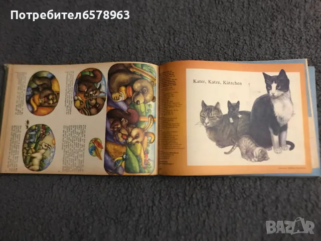 Детска книжка BUMMI 1982 година , снимка 11 - Детски книжки - 50182191