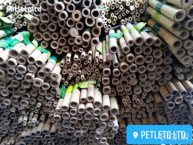 Бамбукови колчета Ф 16 мм - Ф 18 мм / 2,10 метра, снимка 5 - Разсади - 36886966