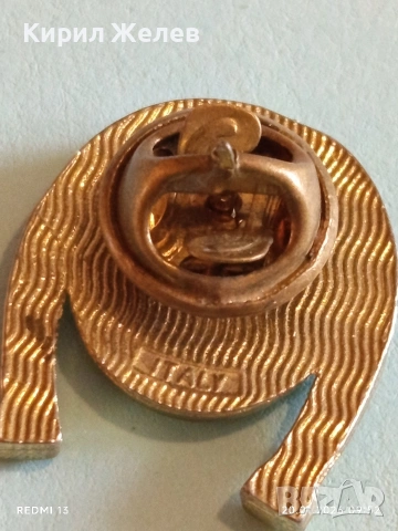 Сувенирна значка ИТАЛИЯ с подкова за късмет 51666, снимка 5 - Колекции - 53159818