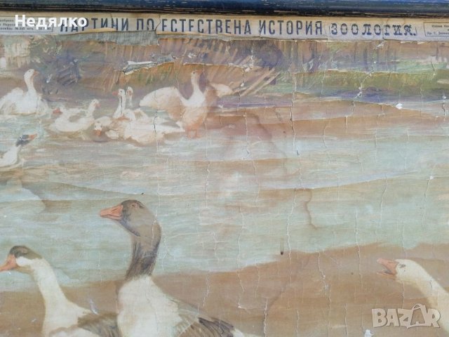 Стара карта, картина,1900г,RRR, снимка 10 - Антикварни и старинни предмети - 40688296