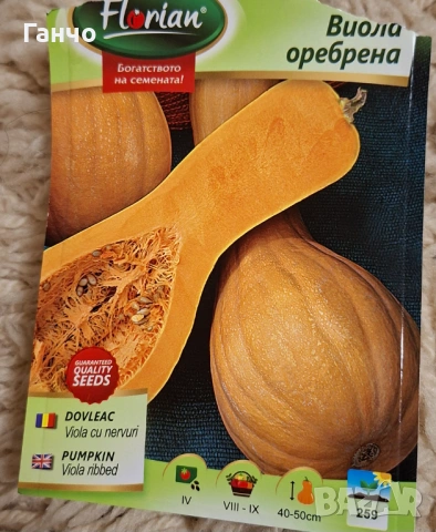 Семена за тиква-различни сортове, фасул - видове и царевица, снимка 7 - Сортови семена и луковици - 53135786