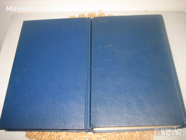 Голям полско-руски речник в 2 тома, снимка 8 - Чуждоезиково обучение, речници - 53527661