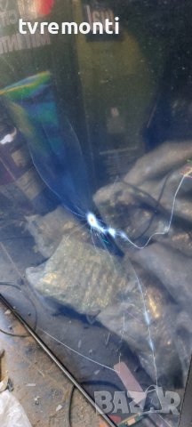 POWER BOARD ,17PW07-2,041111 V2 for 50 inc DISPLAY ,Telefunken L50F185N2V2 дисплей V500HJ1-LE1 Rev.C, снимка 8 - Части и Платки - 37456753